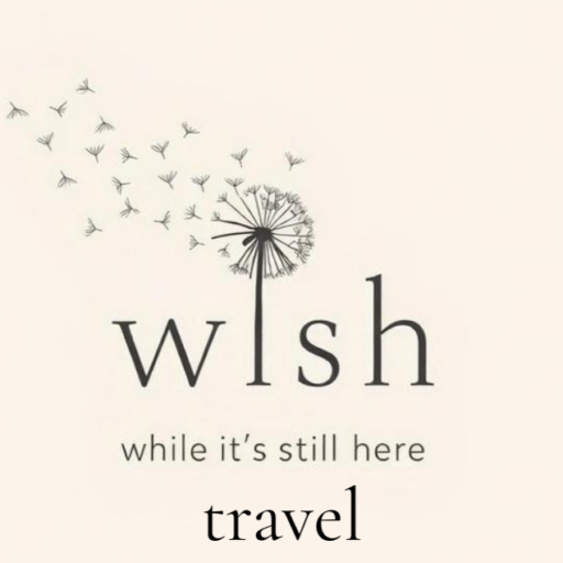 While It's Still Here Travel LLC