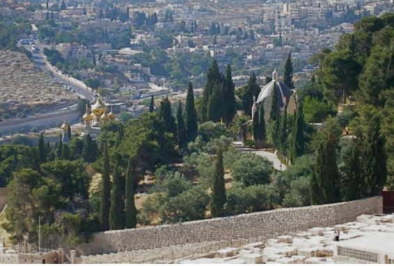 Holy Land Tour Stop: Mount of Olives